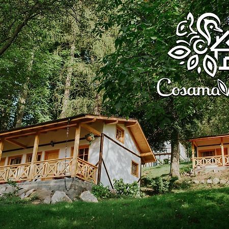 Cosama Village 시기쇼아라 외부 사진