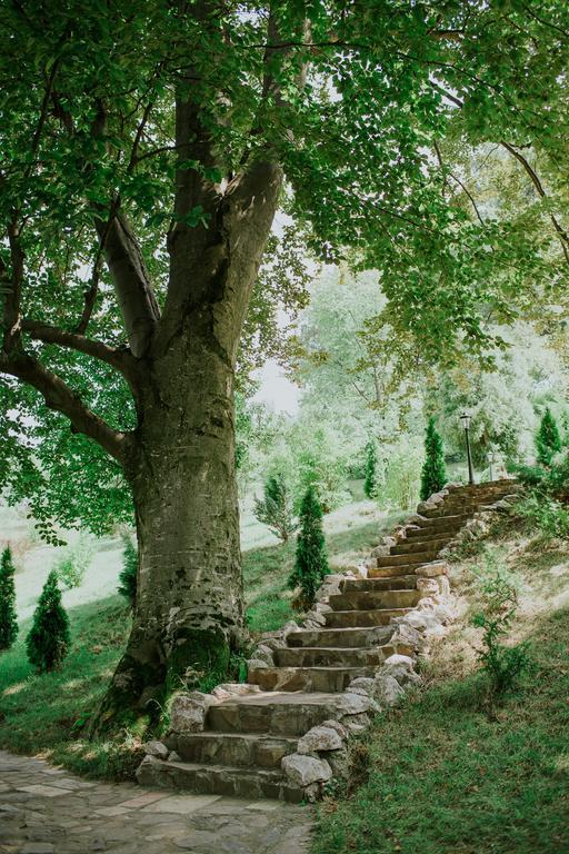 Cosama Village 시기쇼아라 외부 사진